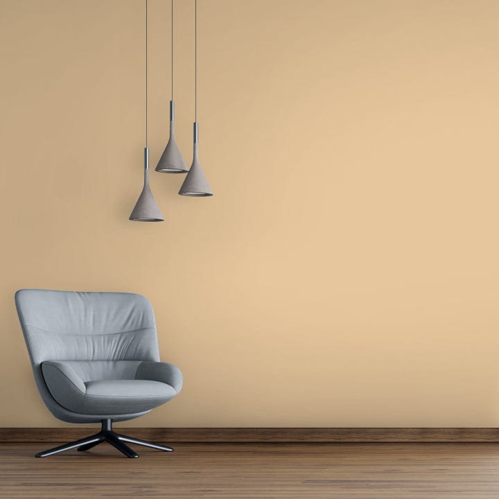 Shade-X emulsion-X Premium Silky Finish for Interior Walls