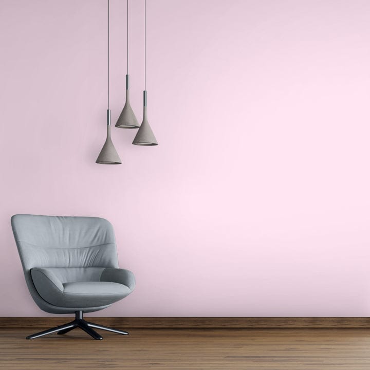 Shade-X emulsion-X Premium Silky Finish for Interior Walls