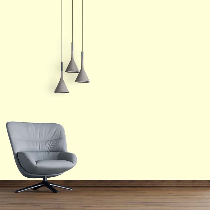 Shade-X emulsion-X Premium Silky Finish for Interior Walls