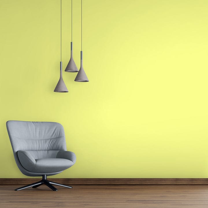 Shade-X emulsion-X Premium Silky Finish for Interior Walls