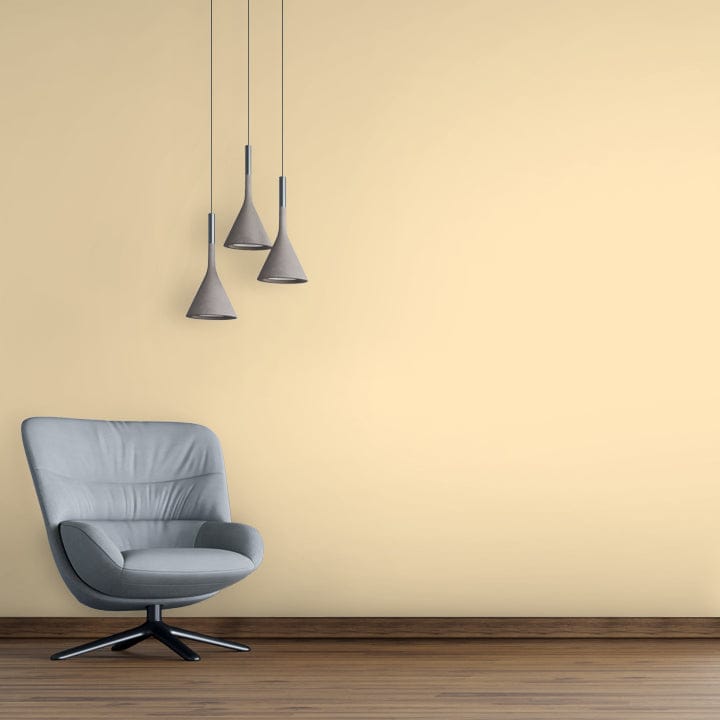Shade-X emulsion-X Premium Silky Finish for Interior Walls