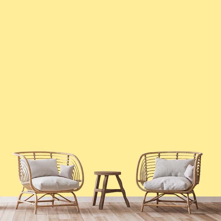 SHADE-X PLASTIC EMULSION , WASHABLE PAINT FOR INTERIOR WALLS