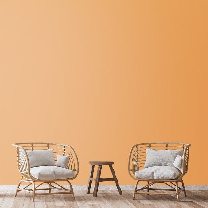 SHADE-X PLASTIC EMULSION , WASHABLE PAINT FOR INTERIOR WALLS