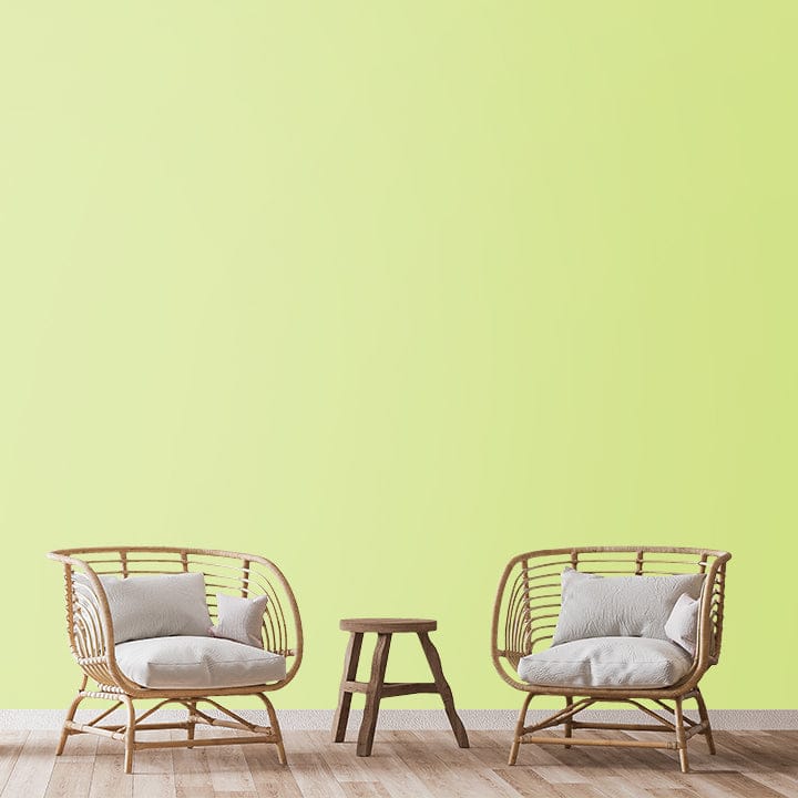 SHADE-X PLASTIC EMULSION , WASHABLE PAINT FOR INTERIOR WALLS