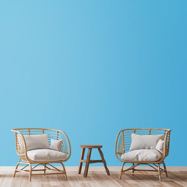 SHADE-X PLASTIC EMULSION , WASHABLE PAINT FOR INTERIOR WALLS
