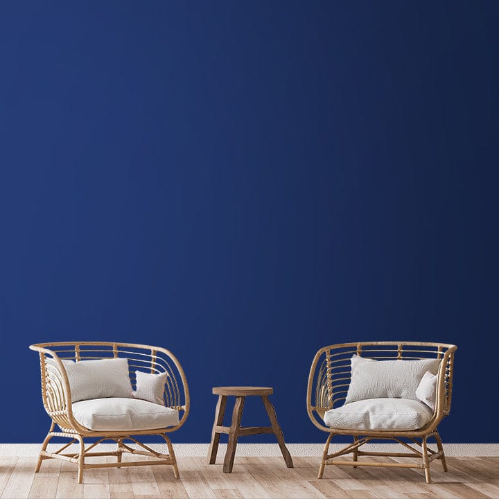 SHADE-X PLASTIC EMULSION , WASHABLE PAINT FOR INTERIOR WALLS