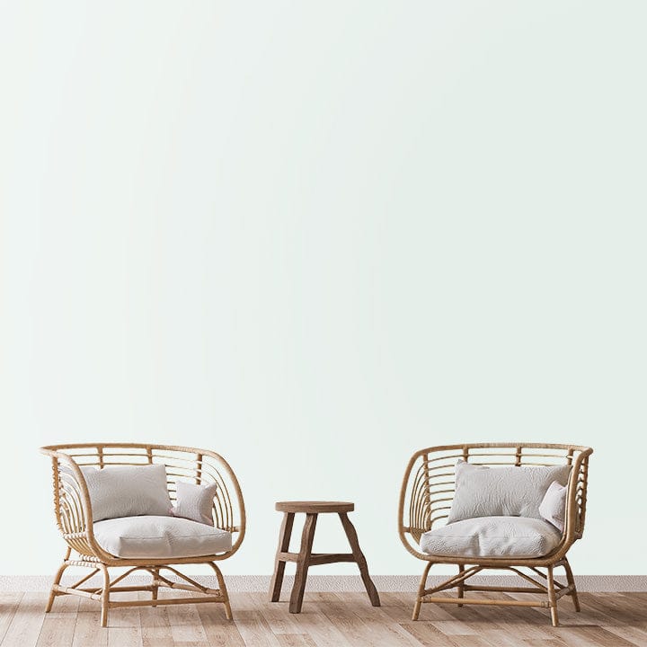 SHADE-X PLASTIC EMULSION , WASHABLE PAINT FOR INTERIOR WALLS