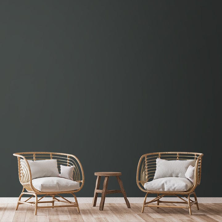 SHADE-X PLASTIC EMULSION , WASHABLE PAINT FOR INTERIOR WALLS
