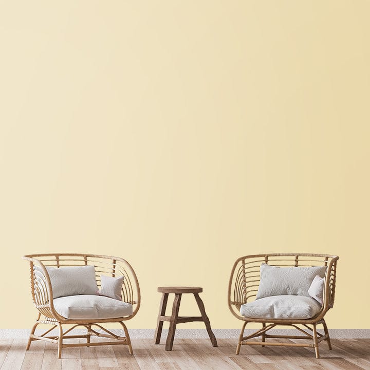 SHADE-X PLASTIC EMULSION , WASHABLE PAINT FOR INTERIOR WALLS